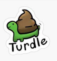 Turdle